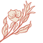 illustration d'une onagre